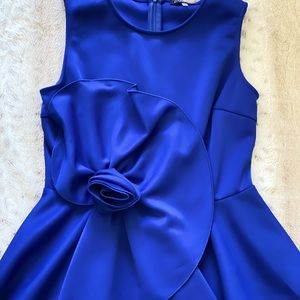 Royal blue blouse size L